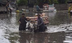 Pakistan'da muson yağmurları nedeniyle ölenlerin sayısı 113'e çıktı