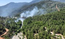 Muğla'da ormanlık alanda çıkan yangın söndürüldü