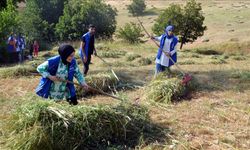 Muş'ta gönüllü gençler, hasta eşini yalnız bırakamayan adamın tarladaki otunu biçti