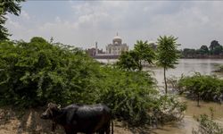 Hindistan'ın Telangana eyaletinde şiddetli yağış sebebiyle 3 günlük "kırmızı alarm" verildi
