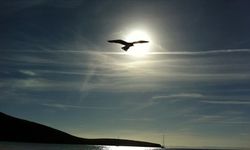 Kuzey Atlantik'teki aşırı ısınma ve El Nino etkisi, yeni sıcaklık rekorlarına yol açabilir
