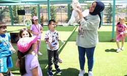 "Kedi Kasabası"nda hem korkularını yeniyorlar hem kedileri seviyorlar