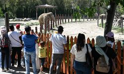 Bayramda çocuklu ailelerin tercihi İzmir Doğal Yaşam Parkı oldu