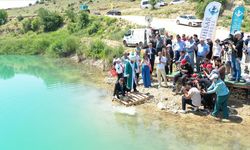 Eskişehir'in temsili "Nasreddin Hoca"sı göle maya çaldı