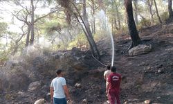 Antalya'nın Kaş ilçesindeki orman yangını kontrol altına alındı
