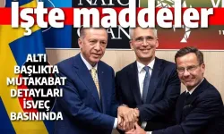 Türkiye'nin İsveç ile yaptığı anlaşma maddeleri ne? İşte Türkiye ile yapılan anlaşmanın tamamı…