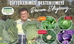 Yüzde 50 Hibeli Kışlık Sebze Fidesi Başvuruları 10 Temmuz’da Başlayacak