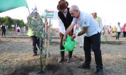 Dünya barışı için 100 zeytin ağacını toprakla buluştu