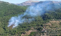 Muğla'da çıkan orman yangını söndürüldü