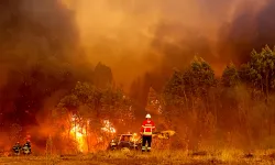 Portekiz, yılın üçüncü ısı dalgası ile orman yangınlarıyla mücadele ediyor