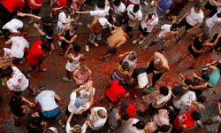 İspanya'daki "La Tomatina" festivalinde 120 ton domates havada uçuştu