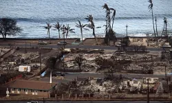 Maui'deki yangınlar: Turizm ve toparlanma süreci