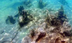 Van Gölü'nde gizemli kalıntılar