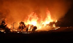 Çanakkale'de çıkan orman yangınına müdahale sürüyor