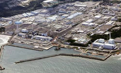 Fukushima: Japonya nükleer santralinin deşarjı güvenli, testler gösteriyor