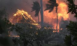 Hawaii’de yangından dolayı 114 kişi hayatını kaybetti