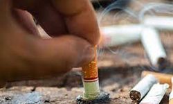 Akciğer kanseri vakalarının sebebi: Sigara