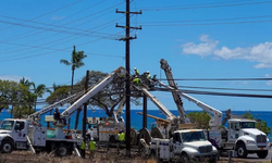 Maui İlçesi Hawaiian Electric'i orman yangını ihmali nedeniyle dava etti