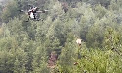 Isparta'da çam kese böcekleriyle mücadele için dron geliştirildi