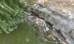 Bakırköy Botanik Parkında hayvanları öldüren ilgisizlik