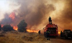 Yunanistan'daki orman yangınları çevre ve sağlık sorunlarını da beraberinde getiriyor