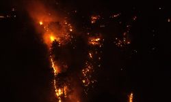 Orman yangınlarının yüzde 48'i ihmal, dikkatsizlik ve kaza sonucu çıktı