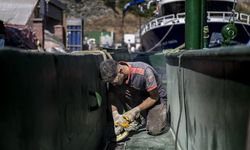 İstanbullu balıkçılar hamsi bereketi bekliyor