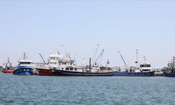 Karadenizli balıkçılar bu yıl da bereketli bir sezon bekliyor