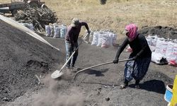 Mangal kömürü işçileri, bunaltıcı sıcaklarda üretime devam ediyor
