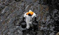 Tayland açıklarındaki petrol sızıntısının temizlenmesi için harekete geçildi