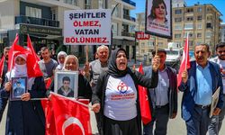 Vanlı aileler HDP İl Başkanlığı önündeki eylemlerini sürdürdü