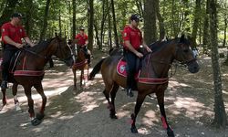 Belgrad Ormanı'nda yangınlara karşı polis denetimi