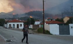 Batı Trakya'daki yangından zarar gören soydaşlar için yardım kampanyası başlatıldı