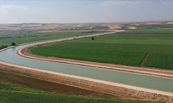Şanlıurfa ve Mardin'deki bereketli topraklar Fırat'ın suyuyla buluştu