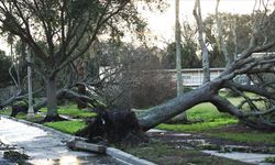 Florida'da Idalia Fırtınası nedeniyle şiddetli yağmur ve sel uyarısı yapıldı