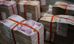 Bütçe temmuzda 48,6 milyar lira fazla verdi