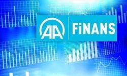 AA Finans Ödemeler Dengesi Beklenti Anketi sonuçlandı
