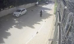 İstanbul'da köpeklerin iki kadına saldırısı kamerada
