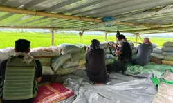 Manipur'da işlenen işkence, tecavüz ve cinayetler: Hindistan'ın bir eyaletinin acımasız çatışması