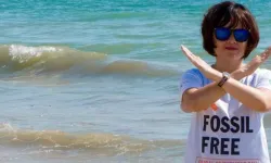 Vietnam beşinci iklim aktivistini vergi suçlamasıyla hapse attı