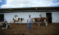 Çanakkaleli çiftçi TKDK desteğiyle kurduğu modern tesiste süt üretiyor