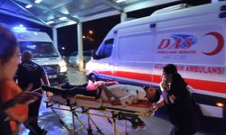 Adana'da bariyerlere çarpan otomobildeki 3 kişi yaralandı