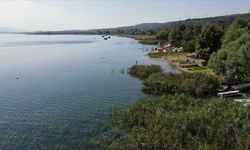 Sapanca Gölü'ndeki balık popülasyonu hayalet ağların temizlenmesiyle artacak