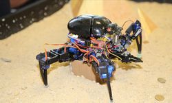 15. Uluslararası MEB Robot Yarışması Bursa'da başladı