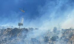 Aydın'da ağaçlık alanda çıkan yangına müdahale ediliyor