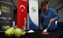 Sakarya'da atık ayvadan pektin, selüloz ve hemiselüloz üretiliyor
