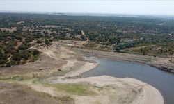Edirne'de 6 bin dönümü sulayan gölet kuraklık nedeniyle dip seviyeyi gördü