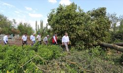 Muğla'da dolu ve fırtınadan etkilenen tarım alanlarında hasar tespiti yapıldı