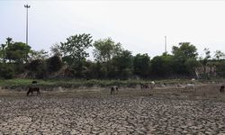 Hindistan, son 122 yılın en kurak ağustosunu geçirdi