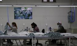 Mesleki, bilimsel ve teknik alanlarda firma sayısı 10 yılda yaklaşık yüzde 87 arttı